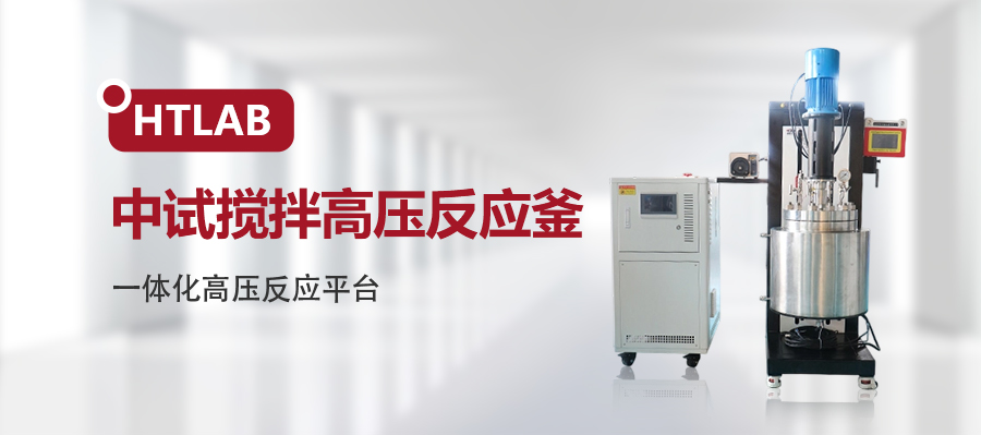 中试搅拌高压反应釜 