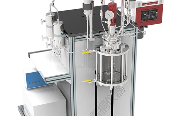自动升降反应釜实拍图