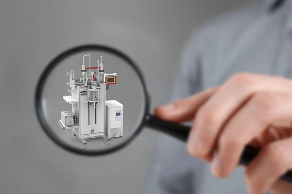 行业洞察实拍图